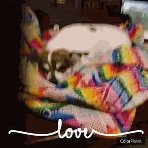 Meet your Posher, Julie